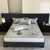 900D Lujo Accesible Jacquard Acondicionado por Aire Alfombra Suave Plegable Lavable a Máquina Clase A Transpirable Alfombra de Salud Verano Hogar Alfombra de Seda de Hielo 1.8