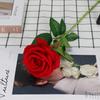 Nueva rosa de acacia de franela individual, rosa de simulación, flor falsa de seda de alta imitación, flor para exhibición en el hogar, venta al por mayor
