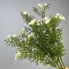 Ramo de simulación pequeña Margarita manzanilla mobiliario de sala de estar flores crisantemo silvestre flores secas falsas pequeña fresca crisantemo holandés adornos flores de seda