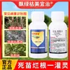Kumei Yizhi 30% Mildiu Lanoso, Metrazole, Pudrición de Raíz de Seda Blanca, Marchitez, Marchitez Bacteriana, Enfermedades del Suelo, Esterilización