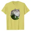 Camiseta Nueva con Estampado de Meme de Gato Sandía para Mujer, Moderna, Comercio Exterior, Holgada, Casual, Deportiva, Manga Corta