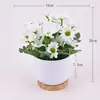 Plantas pequeñas de rosa de alta simulación transfronterizas en maceta, margaritas, crisantemos, decoraciones de escritorio, adornos de flores artificiales, arreglos de boda, flores artificiales