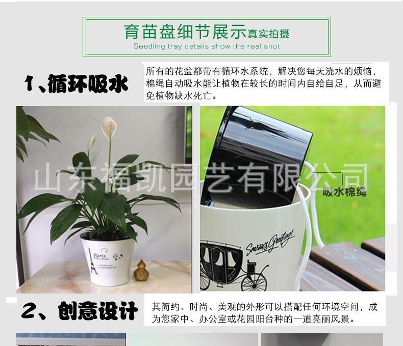 风情款详情页_03