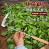 Ferramenta Doméstica Mini Especializada para Cortar Grama, Colher Verduras Selvagens e Capinar