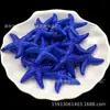 Acessórios Coloridos Perolados para Colar, Pulseira, Pingente, Brinco - Série DIY de Vieiras, Estrelas-do-Mar e Oceano