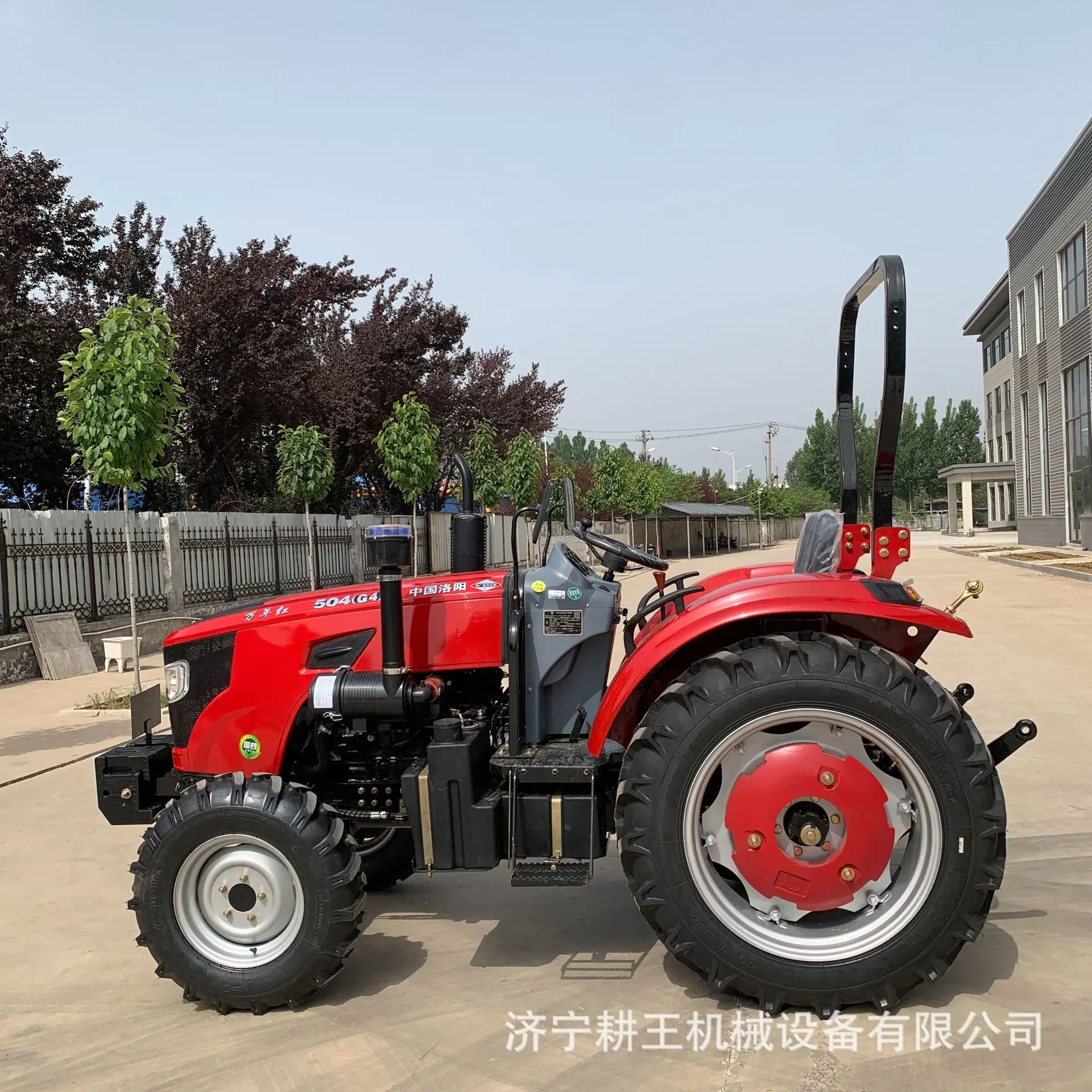 万年红504 (33).JPG