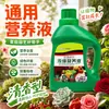Solução Nutritiva Vegetal Ultra-Concentrada, Fertilizante para Flores, Fertilizante Geral, Planta de Casa em Vaso, Jiboia, Bambu Rico, Tipo Geral