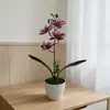 Maceta Redonda Pequeña Artificial de 4 Flores Transfronteriza Orquídea Mariposa Bonsái Decoración Creativa de Interior Flor Artificial Planta Verde Adorno en Maceta