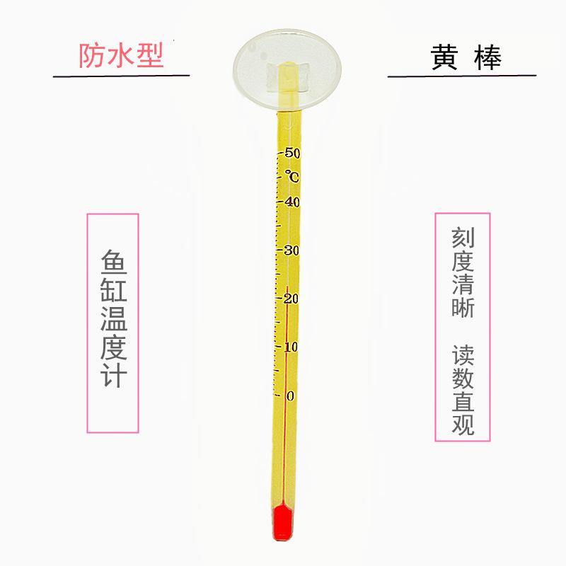 黄棒1_新主图_副本