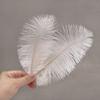 Celebridade da Internet Dia da Mulher 3.8 Decoração de Buquê Pena de Avestruz Flor Embalagem Acessórios para Arranjo de Flores Loja de Flores Materiais Florais