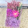Kit de Materiales de Flores Secas DIY de Flor Eterna Hecha a Mano, Superventas Transfronterizo, Marco de Fotos, Abanico, Caja de Flores, Planta con Nervadura de Hoja, Materiales de Flores Secas