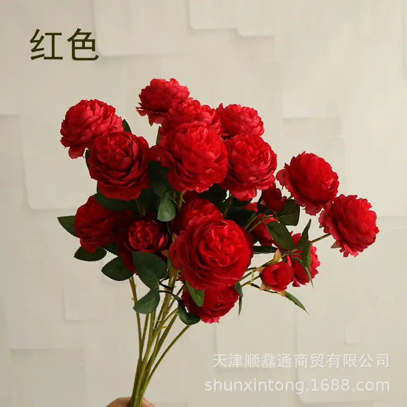 洋牡丹红色1.jpg