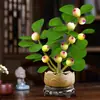 Árbol Bodhi en Maceta Pequeño Bodhi de la Esperanza Bonsái con Fruta Zen Chino Adornos de Escritorio Plantas Verdes Creativas de Interior