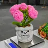 Produto Acabado Transfronteiriço Amazon Vaso de Flor Rosa Suporte de Vaso de Flor Branco Crochê Cartão Flor Artificial Ornamento de Mesa Presente