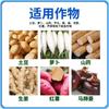 Fertilizante de Elemento Médio Solúvel em Água Para Ampliação de Raiz Subterrânea Gergelim Amendoim Batata Doce Soja Grãos Saciety Solução Nutritiva Fertilizante