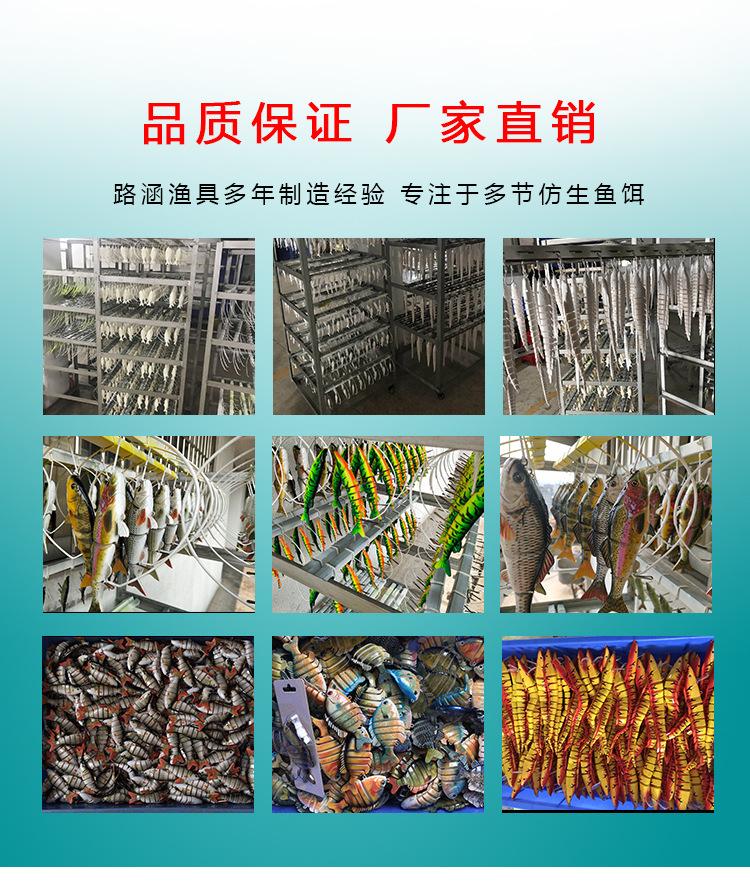 尖尾鱼新_10.jpg