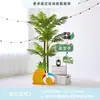 Cenário de Montagem de Evento com Tema de Verão Display de Loja em Shopping de Verão Decoração de Prancha de Surf Fundo de Decoração com Placa Kt