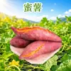 Batata Liu'ao de Fujian, disponible para entrega 3/5/ 4,5 kg Batata de corazón dulce, batata castaña, vegetal de raíz fragante y glutinoso, ingredientes de vegetales frescos