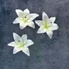 Nuevas Cabezas de Flor de Lirio 3D Flores Artificiales Decoración del Hogar Arte Floral Adornos DIY Accesorios Boda Cabezas de Flores Hechas a Mano Venta al por Mayor