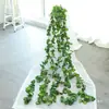 Hoja de vid trepadora planta verde árbol hoja tubería techo decoración plástico pothos dinero hoja verde enroscada