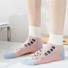Calcetines Inspiradores, Calcetines para el Examen de Ingreso a la Preparatoria, Debes Aprobar el Examen de Ingreso a la Universidad, Título de Campeón en la Lista Dorada, Calcetines para Hombres y Mujeres, Calcetines para Estudiantes de Secundaria