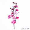 Flor de Ameixa Flor de Pêssego Espinho Espinho buquê de flores secas casa vestido foto fundo ornamentos pequeno ramo de flor fresca produtos de arte floral