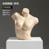 Mannequins de lingerie push-up, manequins de sutiã e calcinha de meio corpo masculino e feminino, cabides falsos, expositores