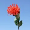 Almofada de alfinetes flor de ramo único simulação KLS2956 flor artificial flor de plástico decoração macia para casa conjunto de fotografia material floral