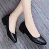 Sapatos de couro macio de bico fino e plano, sapatos profissionais para mulheres, novos sapatos de trabalho pretos para o outono de 2026, sapatos de couro macios para escritório