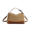 Bolso de Mano de Paja Tejida Nuevo 2026, Diseño de Nicho, Moda Tendencia, Bolso Cruzado de Hombro Único Creativo de Lujo Ligero para Mujer