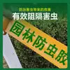 Cinta a Prueba de Insectos para Árboles Aishangke, Cinta Adhesiva Verde Especial para Árboles Frutales y Jardines, Trampa Grande para Insectos de Árboles, Tablero Amarillo, Esencial para la Jardinería