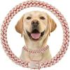 Coleira para Cachorro de 12mm de Largura Coleira de Natal para Pet Cravejada com Diamantes Adequada para Gatos e Cachorros Grandes, Médios e Pequenos Acessórios para Pet Colar Dourado