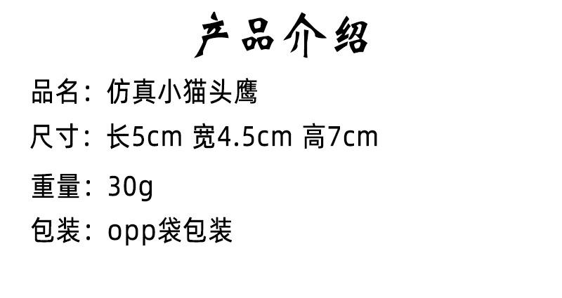 小猫头鹰