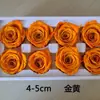 Rosas Preservadas 4-5cm Grau B Flores Preservadas Caixa de Presente Dia dos Namorados Presente de Natal Materiais de Flores de Aniversário