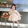 Menina Lolita dos desenhos animados coelho Lolita Princesa pettiskirt vestido infantil outono nova saia da menina