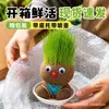 Una Planta Pequeña en Maceta Que Florece al Regarla sobre el Cabello de una Muñeca de Cabello Largo, Adecuada para la Observación del Crecimiento de Plantas en Jardín de Infancia, Fácil de Cuidar y Mantener por Niños