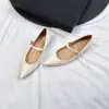 Sapatos Femininos de 5CM de Altura, Estilo Francês Sexy, Bico Fino, Baixo, Versáteis para o Trabalho, Abertos na Ponta, com Tira Metálica