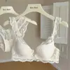 Conjunto de Lencería Pura Pasión Estilo Francés para Mujer, Busto Pequeño, Con Relleno, Sexy, Fino, Anticaída, Suave, Conjunto de Sujetador de Encaje con Aros