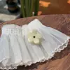 Grampo de Cabelo Mini de Acetato Florido Estilo Coreano Cor Pura Grampo para Franja Acessórios de Cabelo Ins de Alta Qualidade Acessórios Quebrados Clipe Gradiente Fofo
