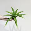Em estoque Simulação Sistema Mori Falso Pátio Varanda Planta Parede Flor Sulco Decoração Samambaia Persa Samambaia Samambaia Samambaia Samambaia Pacote de Folhas de Samambaia Planta em Vaso