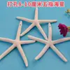 Estrellas de Mar Naturales Materiales Hechos a Mano DIY Adornos Decorativos Colgantes Perforadas de Cinco Puntas Estrellas de Mar Reales