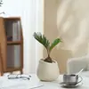 Ins Jiuli Escandinavo Planta Verde Fragante en Maceta Florales Oficina Sala de Estar Escritorio Interior Adornos Purificar el Aire y Eliminar Formaldehído