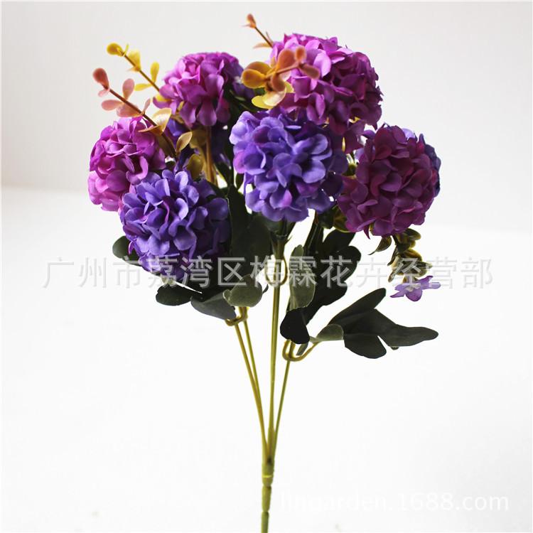 新小圆球花 750