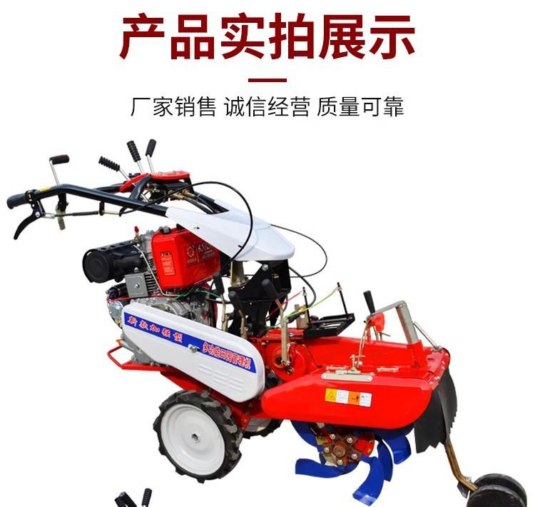 详情图15