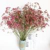 Yunnan flores secas eternas base de flores atacado buquê de grama de cristal eterna decoração para casa arranjo de flores adereços de fotografia