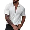 Camisa Masculina de Seda Gelo Fina de Manga Curta para o Verão Moda Tendência Simples Cor Sólida Marca Tendência Top Casual de Secagem Rápida