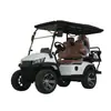 Carro de golf eléctrico para recorridos turísticos escénicos, visualización de propiedades de hotel y recepción, 2-8 asientos, carro de golf de 4 ruedas