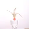 Brinquedo para Gato Bola Elástica Varinha com Penas para Roer Dentes, Autoentretenimento e Alívio do Tédio, Bola de Borracha de Futebol Basquete Brinquedo para Gato