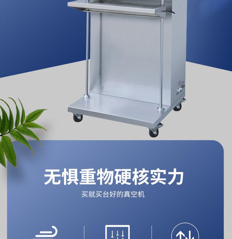 立式双头气动外抽充气真空包装机 大型商用干湿两用 充氮商用真