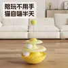 Juguete de Autoentretenimiento Gato Macarrón, Juguete Giratorio Anti-Vuelco para Gatos, Juguete de Entretenimiento Automático para Gatos, Juguete Educativo para Gatitos